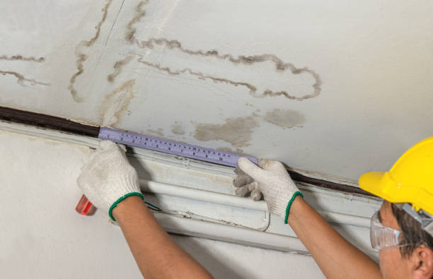 Reliable Mold Remediation contractor in Hamburg, MI by Local Water Damage Repair